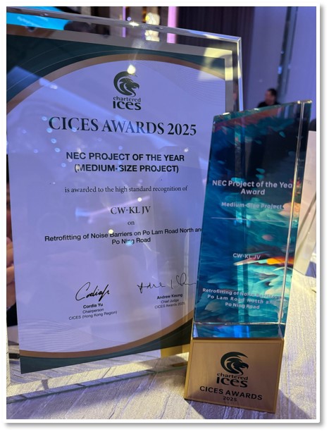 NEC Project of the Year (Medium-Size Project)